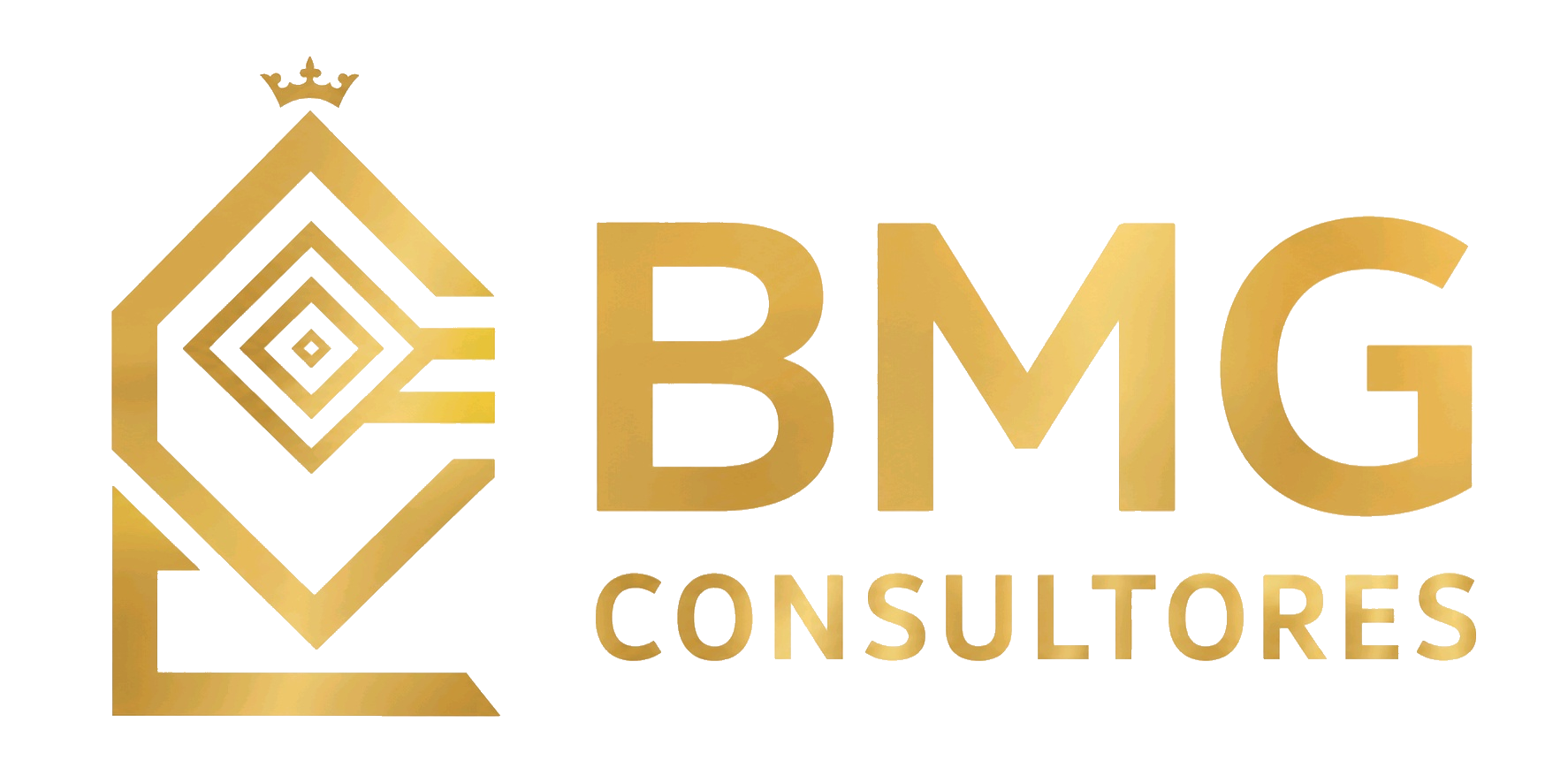BMG Consultores